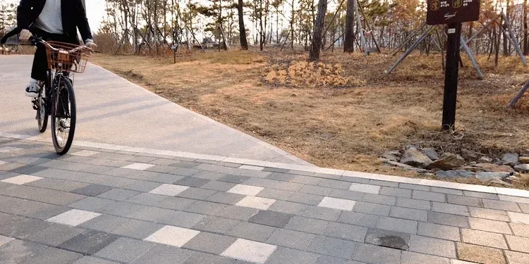 스카닉 Classic 36V 상세