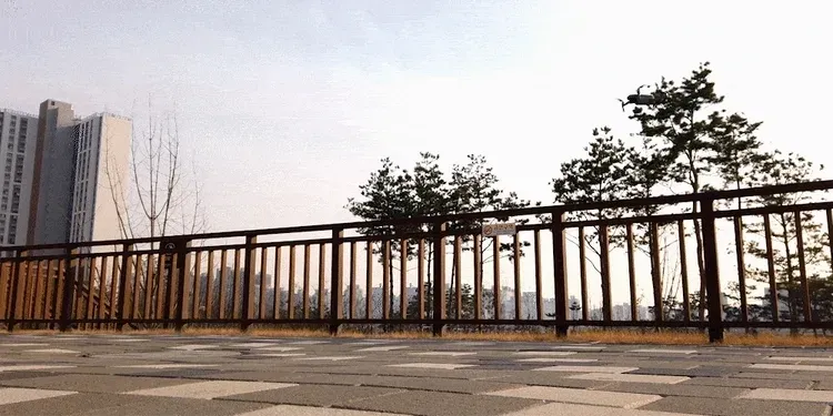 스카닉 Classic 36V 상세