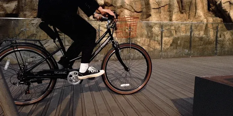 스카닉 Classic 36V 상세