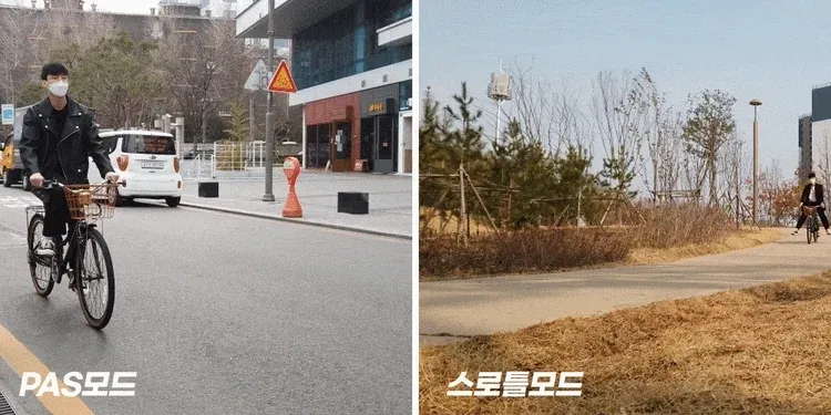 스카닉 Classic 36V 상세