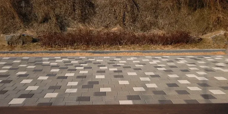 스카닉 Classic 36V 상세