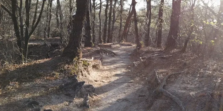 스카닉 F100 상세