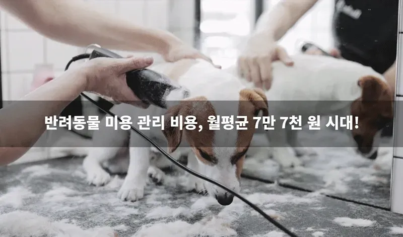 펫 이미용기 상세