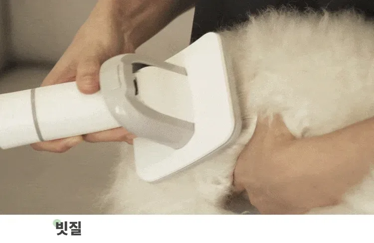 펫 이미용기 상세